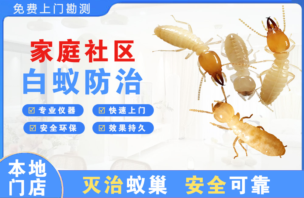 大厂家庭社区白蚁防治