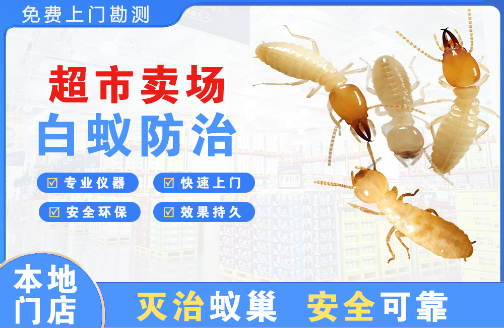 大厂超市卖场白蚁防治