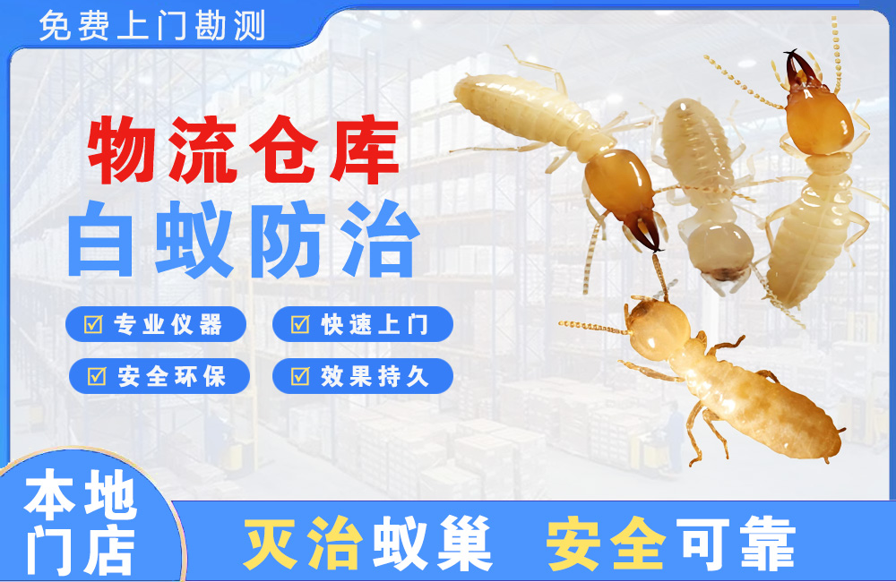 大厂物流仓库白蚁防治