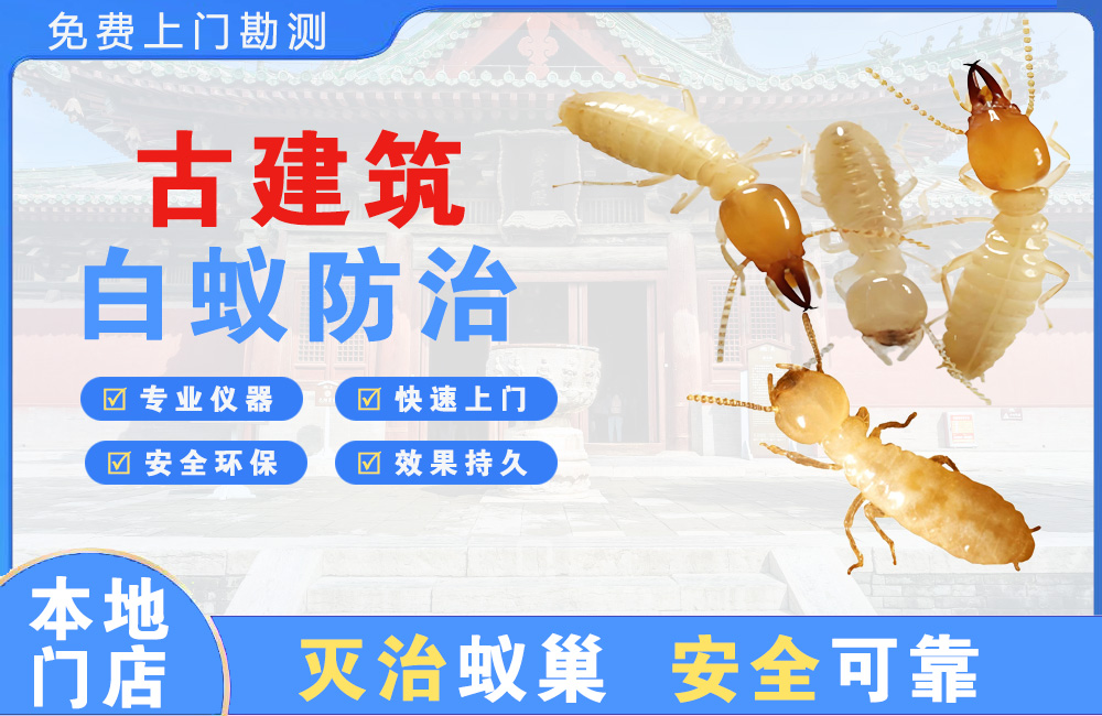 大厂古建筑白蚁防治