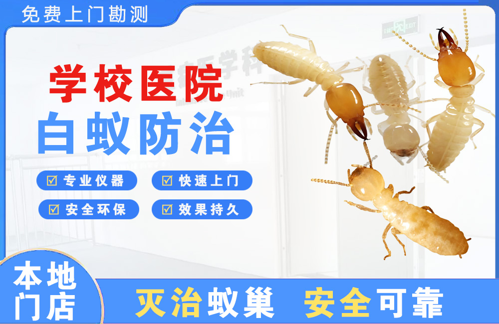 大厂学校医院白蚁防治