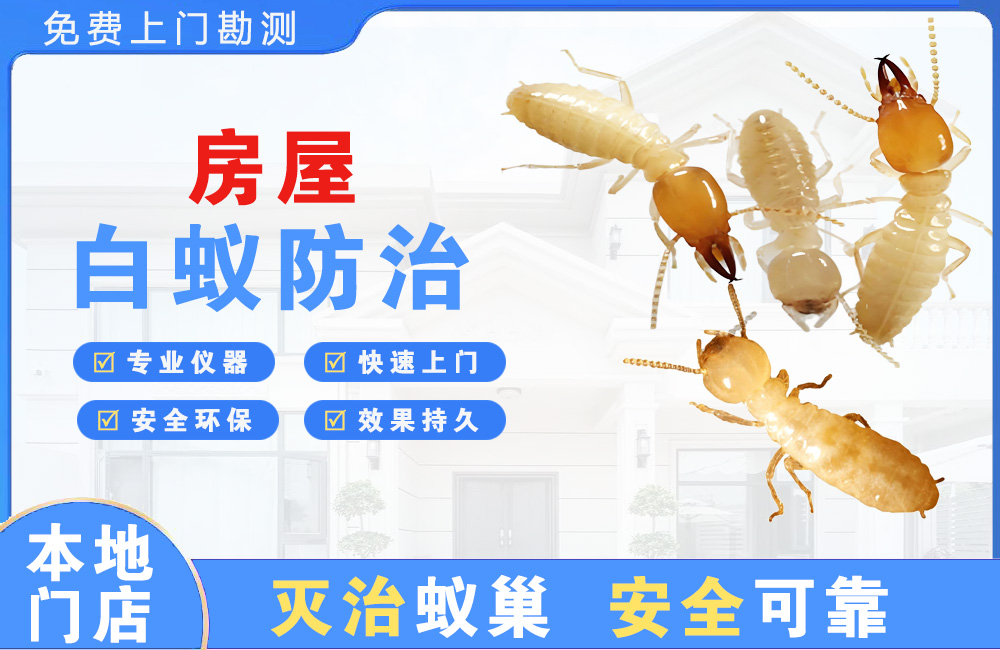 大厂房屋白蚁防治