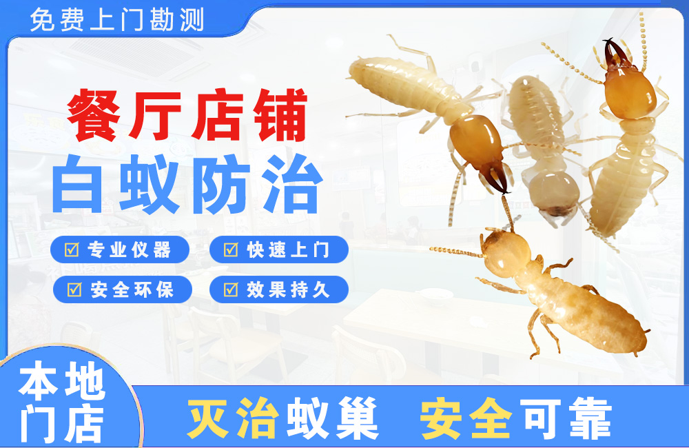 大厂餐厅店铺白蚁防治